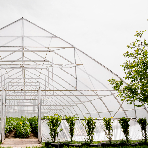 Branda ve Tente Kumaşları: PVC, Oxford, Polyester – Hangisi Daha Dayanıklı?