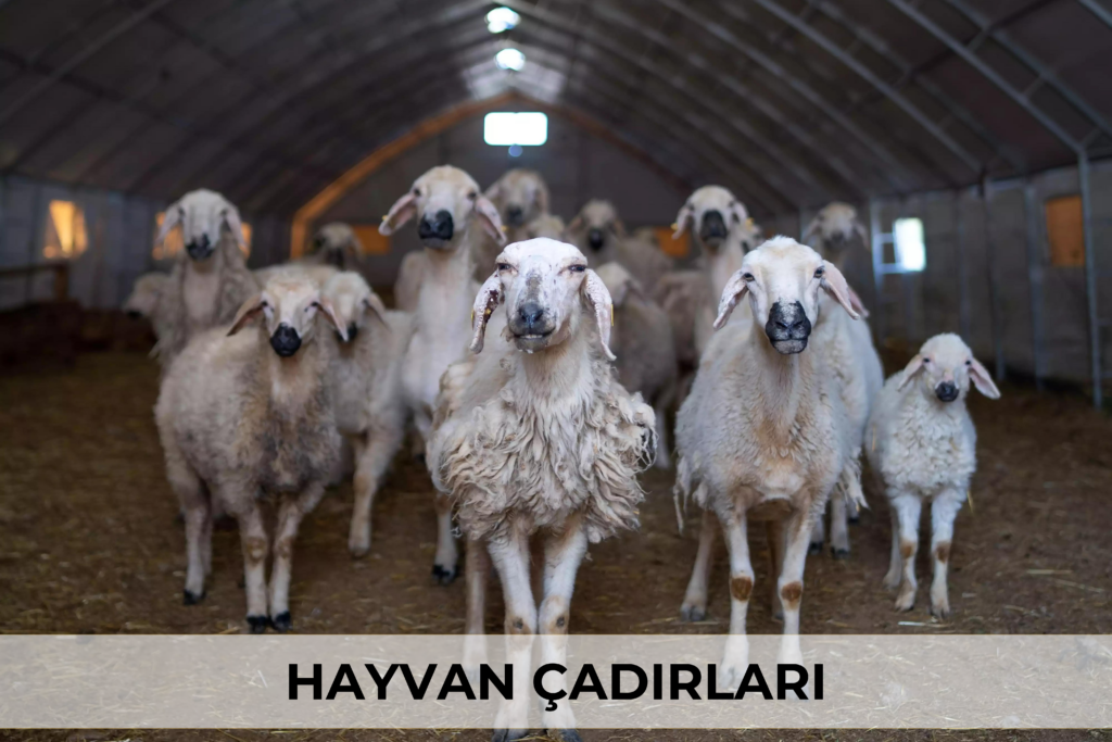 Hayvan Çadırları